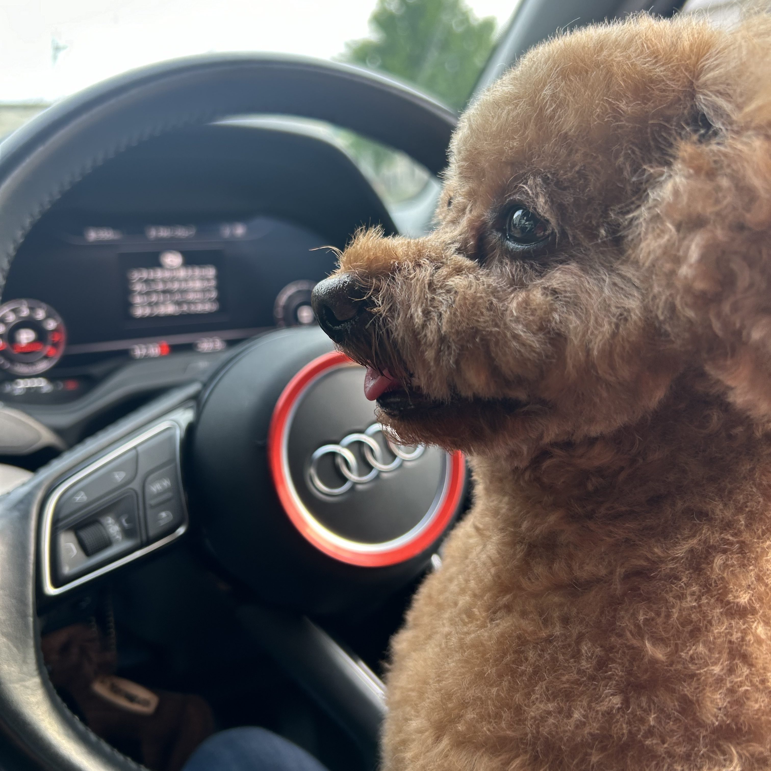 0FBF56D7-3234-41E0-8615-3871B35A71E1